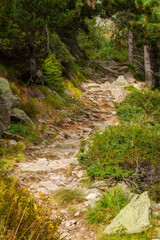 Small forest path in a Spanish Pyrenees Mountain, Vall de Nuria