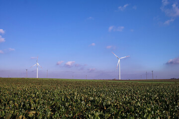 Turbiny wiatrowe na polach w Polsce. © Adam Sadlak