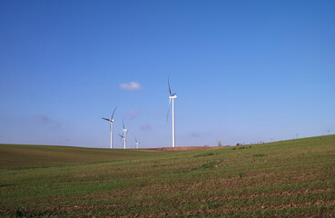 Fototapeta Elektrownia wiatrowa, turbiny elektryczne w polach. obraz
