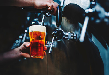 bartender hand at beer tap pouring a draught beer in glass serving in a bar or pub. tap room