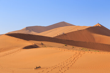 Naklejka na ściany i meble Amazing View from the dune to the salt pan of Sossusvlei, Namibia.