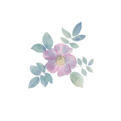Fototapeta na wymiar watercolor flower bouquet isolated on white background