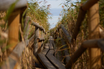 Landskape with the lake full of reed and beautiful pale blue sky