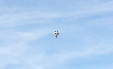 cat hot air balloon flying