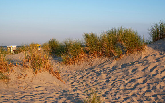 Morgenlicht D&uuml;nen Insel Borkum
