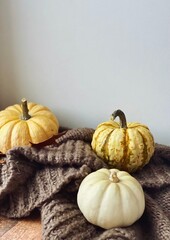 Pumpkins close up. Autumn flatlay
