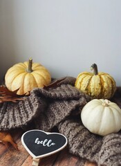 Pumpkins close up. Autumn flatlay