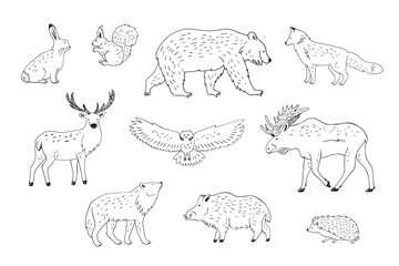 Forest animals line vector illustartions set.