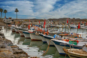 fishing boats in the harbor