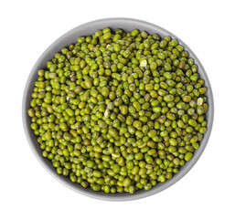 Bowl with fresh mung beans isolated on white, top view