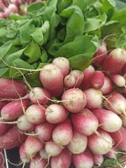 Textured background of several Radishes