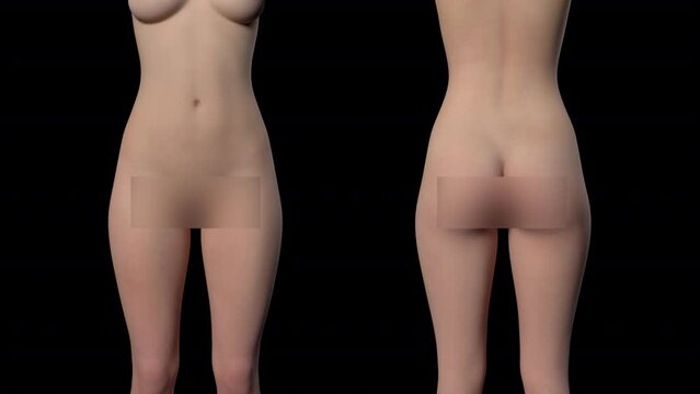 Female Weight Loss In Front And Back View