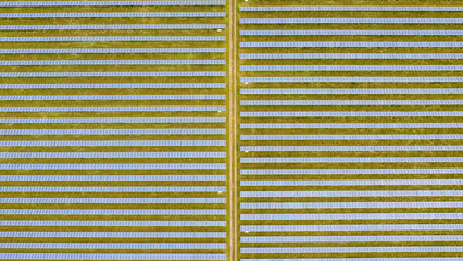 Solar farm from the air