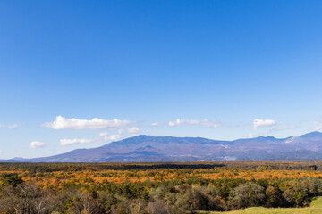 秋の高原 紅葉風景