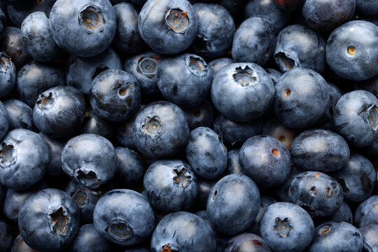 Close up view of fresh blueberries. Blueberries background