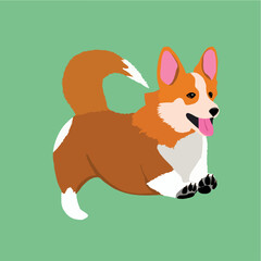 Jumping corgi dog vector cartoon illustration. Cute welsh corgi puppy running, smiling with tongue out isolated.