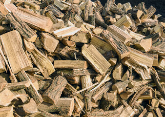 Acacia firewood for heating in the winter