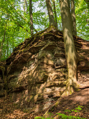 Alter Hohlweg mit Felsenpassage bei Unfinden im NSG Trockenhänge und Urwiese bei Junkersdorf, Stadt Königsberg, Naturpark Haßberge, Landkreis Haßberge, Unterfranken, Franken, Bayern, Deutschland