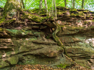 Alter Hohlweg mit Felsenpassage bei Unfinden im NSG Trockenhänge und Urwiese bei Junkersdorf, Stadt Königsberg, Naturpark Haßberge, Landkreis Haßberge, Unterfranken, Franken, Bayern, Deutschland