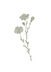 Watercolor illustration of flax flower