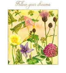 watercolor drawing wild plants and flowers at painting background with golden frame and lettering, artistical card or cover design, flowering meadow , hand drawn botanical illustration