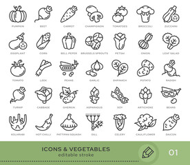 Set of conceptual icons. Vector icons in flat linear style for web sites, applications and other graphic resources. Set from the series - Vegetables. Editable stroke icon.