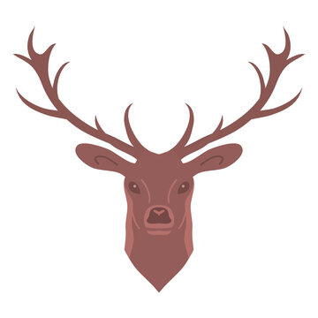 Red deer head with big antlers. Standing and looking. Forest herbivore animal. Faina and wildlife. Flat vector illustration isolated on white background