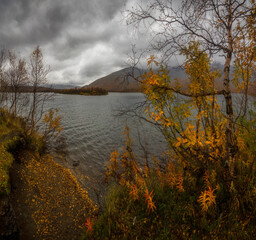 autumn in the north. Khibiny Mountains. The Kola Peninsula. Russia