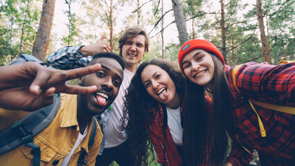 Multiracial group of friends travelers is taking selfie in wood looking at camera, posing with...