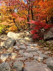 Bukhansan National Park - autumn mountains. hiking Korean mountains. mountain landscapes in autumn. trekking. rise to the top of the mountain. red and yellow autumn leaves