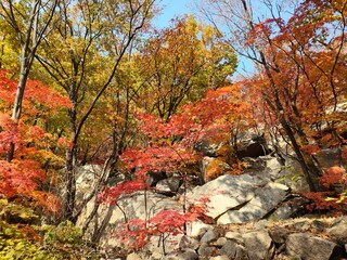 Bukhansan National Park - autumn mountains. hiking Korean mountains. mountain landscapes in autumn....