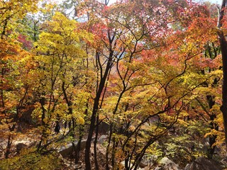 Bukhansan National Park - autumn mountains. hiking Korean mountains. mountain landscapes in autumn....
