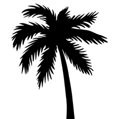 Obraz premium coconut tree and palm tree silhouette design with PNG format