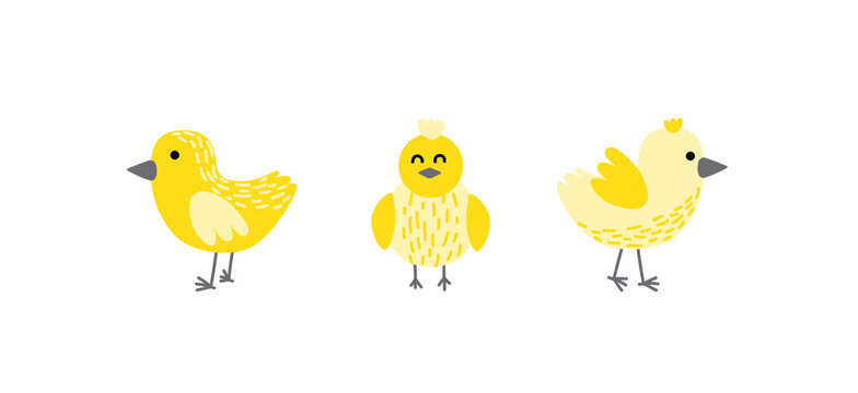 Chick set. Yellow chick. Spring, easter. Little chicken. Nestling. Flat, cartoon, isolated