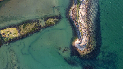 Oyster beds in the sun