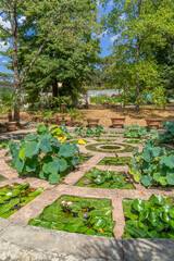 Giardino della Botanica superiore, Giardino di Boboli, à Florence, Italie