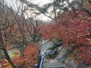 Bukhansan National Park - autumn mountains. hiking Korean mountains. mountain landscapes in autumn. trekking. rise to the top of the mountain. red and yellow autumn leaves