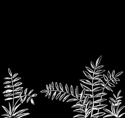 On a black background decorative plants of white decorative