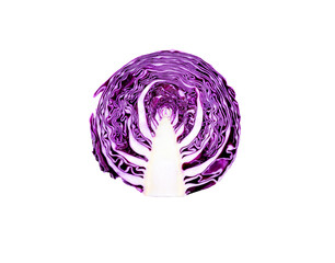 purple cabbage  isolated on transparent png
