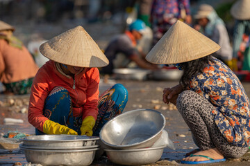 Local vendor is collecting fishes and shelles at famous fishing village in Mui ne, Vietnam