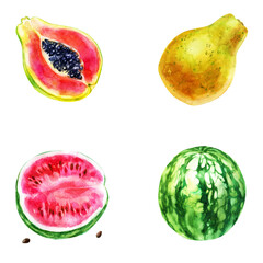 Watercolor illustration, set. Watermelon, half watermelon, papaya. Half papaya. - 542681822