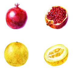 Watercolor illustration, set. Melon, half melon, pomegranate, half pomegranate.