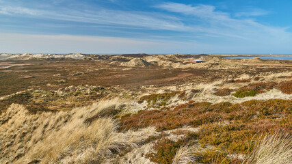 Sylt
