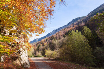 Beautiful colourful autumn landscape in the Jura Mountains. Hiking path with orange trees on sunny day.