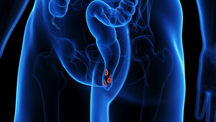 medical illustration