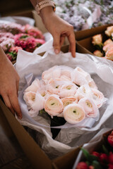 Woman's hands unwrapping floral bouquet of fresh tender pink ranunculus flowers, close up vertical view 