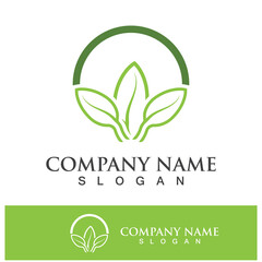 Green tree leaf nature logo images