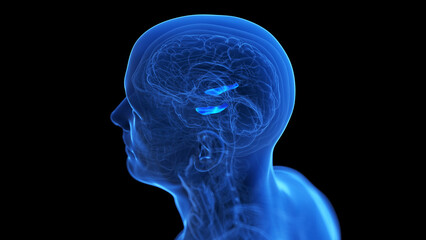 Obraz premium medical illustration