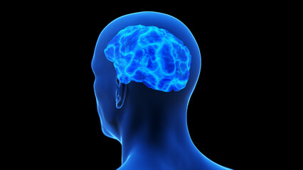 medical illustration