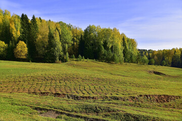 Fototapeta na wymiar Autumn pasture of cattle